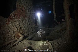 Inside the wreck Thistlegorm. by Oxana Kamenskaya 